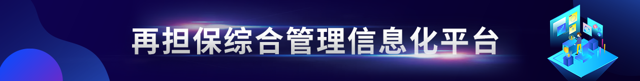 再担保综合管理信息化平台